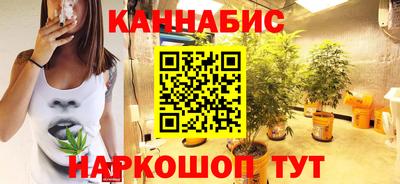 тгк Гай