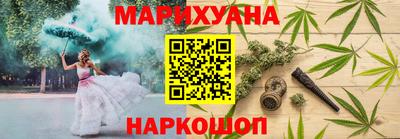 тгк Гай
