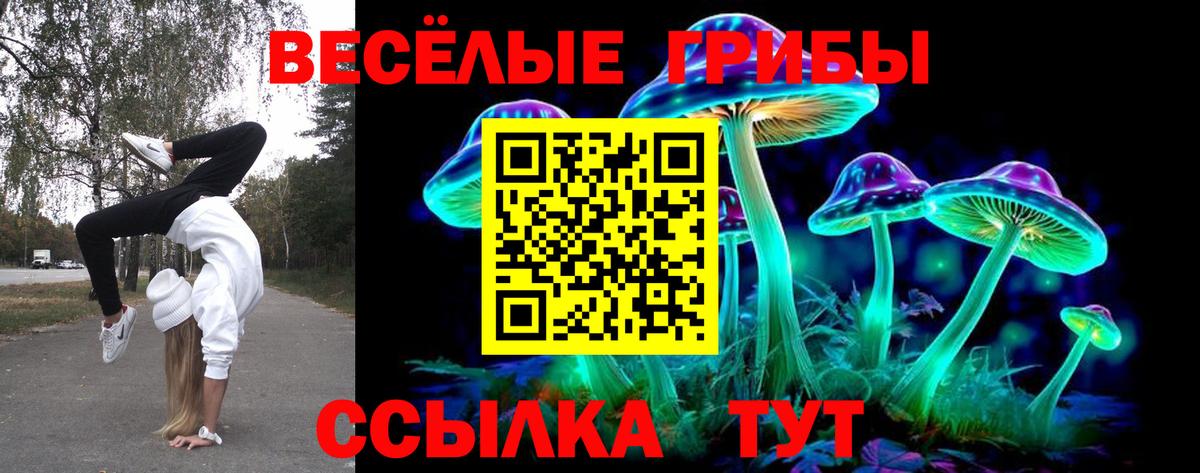 Псилоцибиновые грибы Cubensis Буйнакск